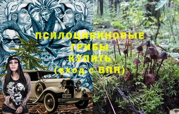 тгк Рославль